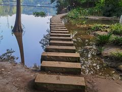 -重庆彩云湖湿地公园