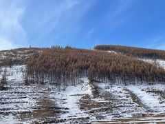 -五台山风景区