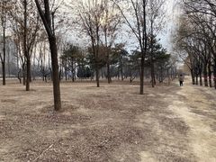 -东坝千亩湖公园