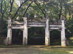 景点-灵谷景区