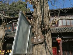 -兴福老面馆(寺路街店)