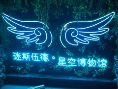 -迷斯伍德星空博物馆