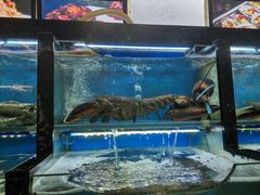 -老东镇啤酒屋海鲜加工·蒸汽海鲜·海鲜烧烤(台东店)