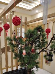 -芳朵美容养生SPA