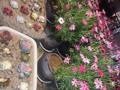 -瓦库茶馆17号(海汇港店)