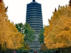 -玲珑塔公园