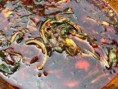 -乐山第一家临江鳝丝(茶坊路店)