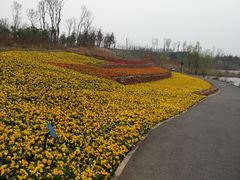 -白鹭湾湿地公园