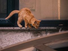 -北京市陈经纶中学