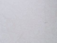 -美联英语(绿宝中心)