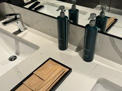 -新加坡乌节希尔顿酒店 (SG Clean)