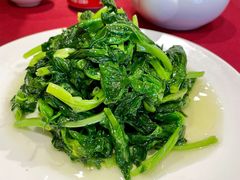 酒香豆苗-老吉士酒家(天平路店)