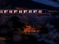 -羊山湖公园