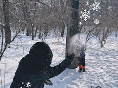 -长春市南湖公园