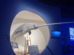 -重庆欢乐海底世界