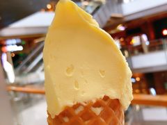 -野人先生现做冰淇淋(北京环宇荟店)