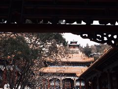 -颐和园