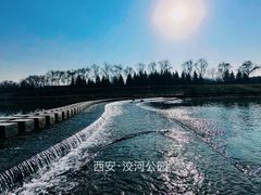 -洨河生态公园