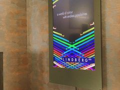 -大视光学•LINDBERG林德伯格•全球手工眼镜集合店(王府井店)