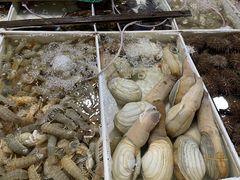 -毕家疃综合市场