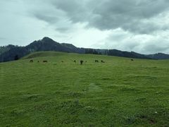 -新疆那拉提国家旅游度假区
