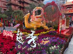 -越秀西湖花市(广州城市广场花卉店)