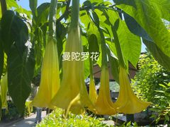 -听风阁农家私房菜茶楼(龙坞店)
