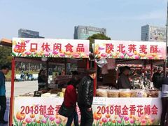 -大宁郁金香公园-停车场