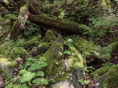 -叠溪松坪沟景区