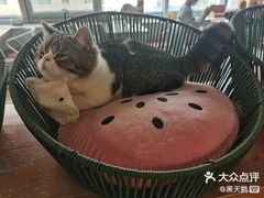 -Cappucimeow猫咪咖啡馆(韦伯时代店)
