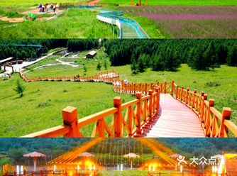 天津团建｜遇见七彩森林，24度的夏天让我陶醉