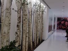 -极简口腔(总院)