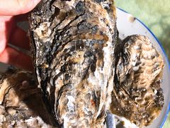 -蚝家菜馆(沙井店)
