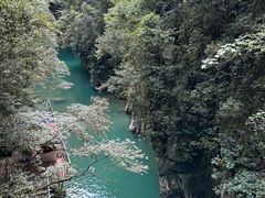 -蝶舞清江·恩施地心谷景区