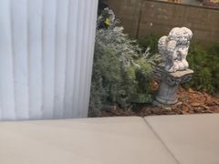 -前海沿·海鲜水饺青岛菜(乐客城店)