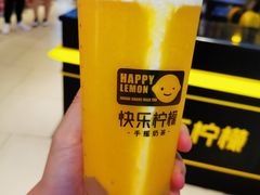 冰雪芒芒-快乐柠檬happylemon(日月光店)