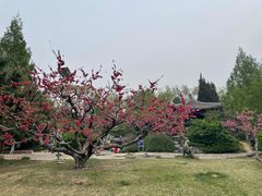 -元大都城垣遗址公园