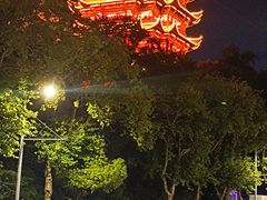 -黄鹤楼公园(黄鹤楼)