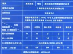 -新场古镇-停车场