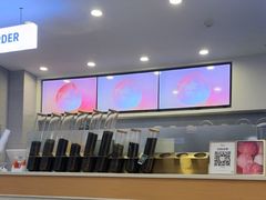 -雾与山茶(大禹城店)