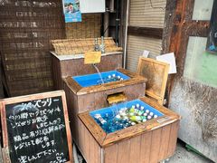 -白川乡与五箇山的合掌构造村落