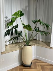 -橙沐普拉提瑜伽