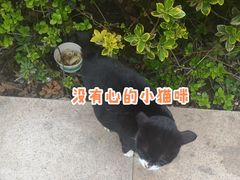 -上海市普陀区中心医院