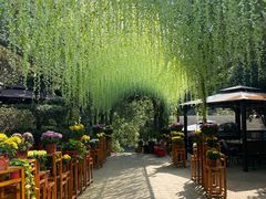 -张鸟园农家乐(张鸟园店)