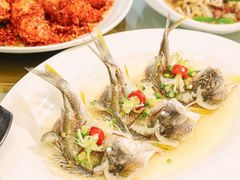 -有腥气私房菜·寻味顺德