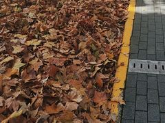 -西安交通大学(雁塔校区)