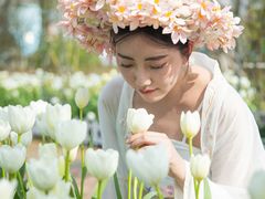 -荷兰花海