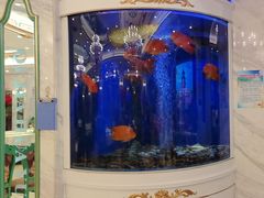 -齐家花园大酒店(宝山店)