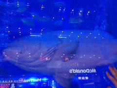 -成都浩海立方海洋公园