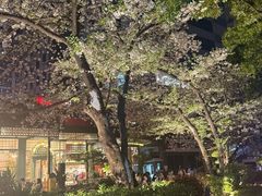 -玛格萝妮比萨屋(四平店)